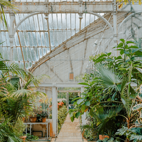 Belfast Airport Taxis - Belfast’s Botanic Gardens